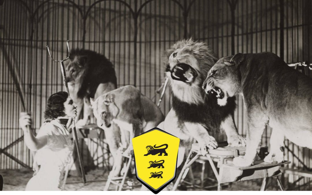 ROOOAAAAR – The Geekettez sind Teil des bwlions Delegationsteam