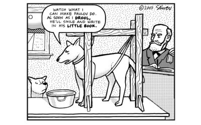 User research biases to be aware of: Demand characteristics