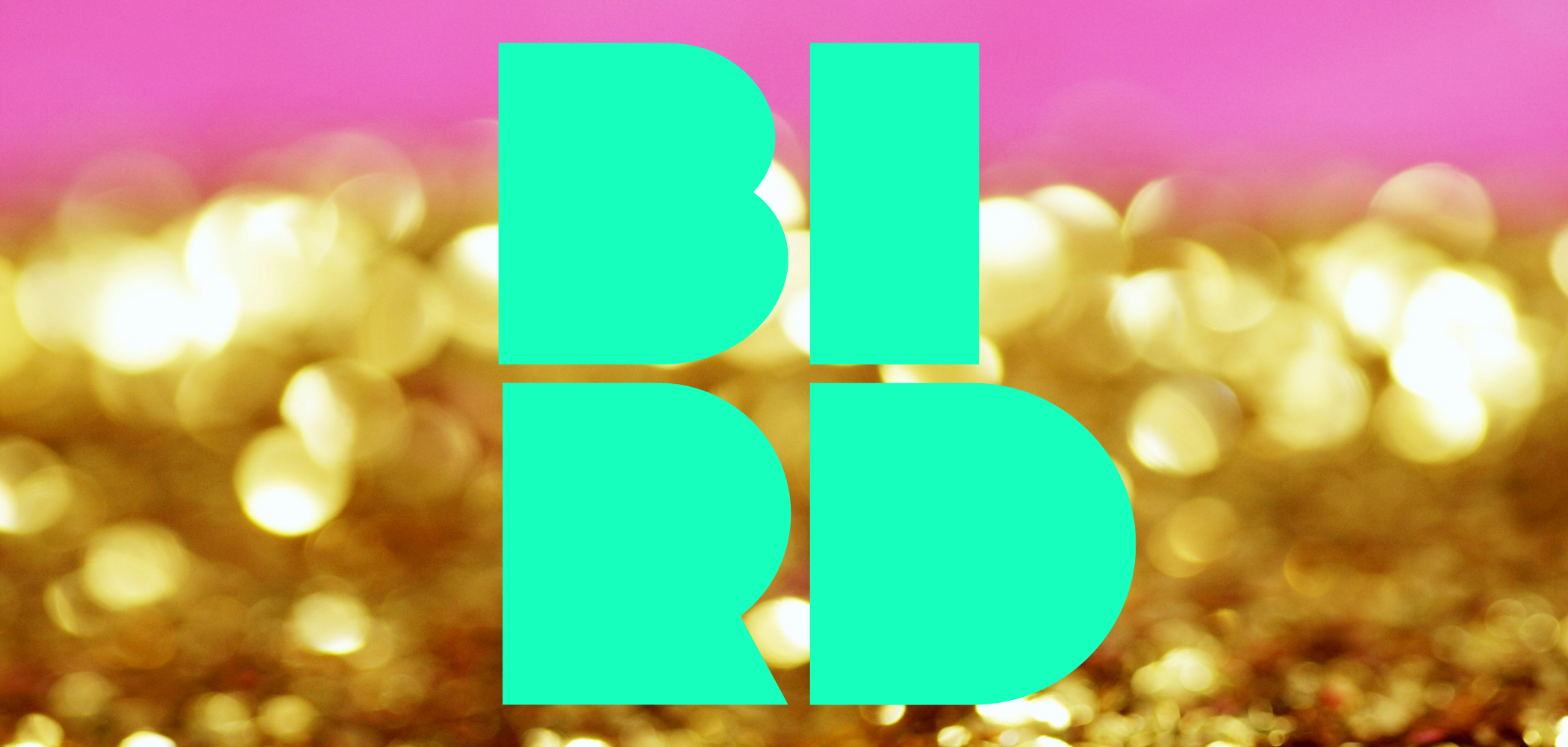 Bright, bold, mint green letters spelling "BIRD" in a modern, blocky font are centered on the image. The background features a vibrant mix of pink at the top and shimmering gold glitter at the bottom, creating a festive, celebratory atmosphere.