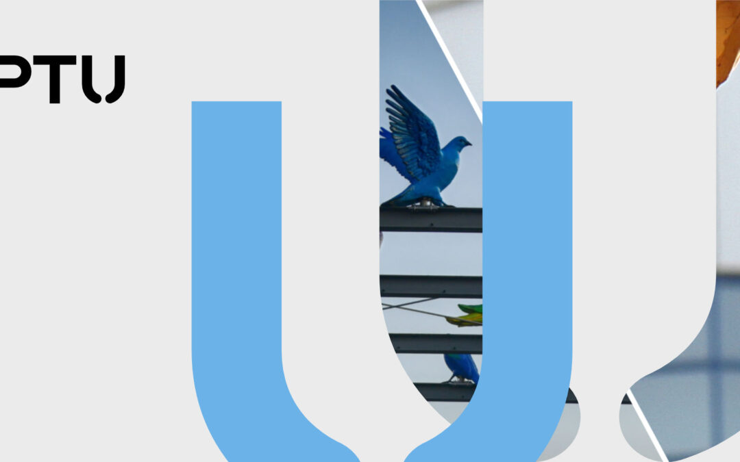 Bird UX gestaltet neue WCAG-AA konforme HTML-Newsletter für die RPTU