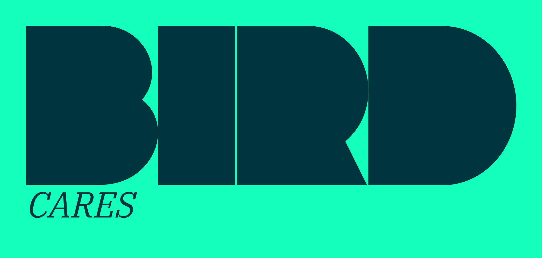 Der Text “BIRD CARES” als schwarze, grafische Schrift auf grünem Hintergrund.